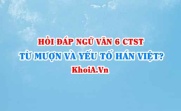 Từ mượn là gì? yếu tố Hán Việt là gì? Ví dụ? Ngữ văn lớp 6 CTST